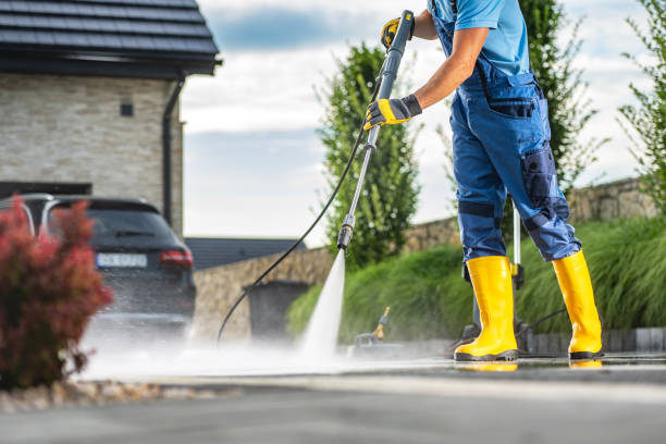 Best Solar Panel Cleaning  in Middlebush, NJ